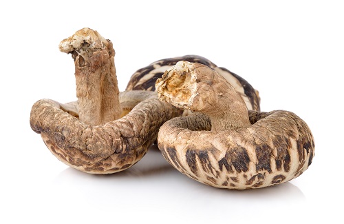 Champignon shiitake